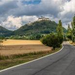 Decin004